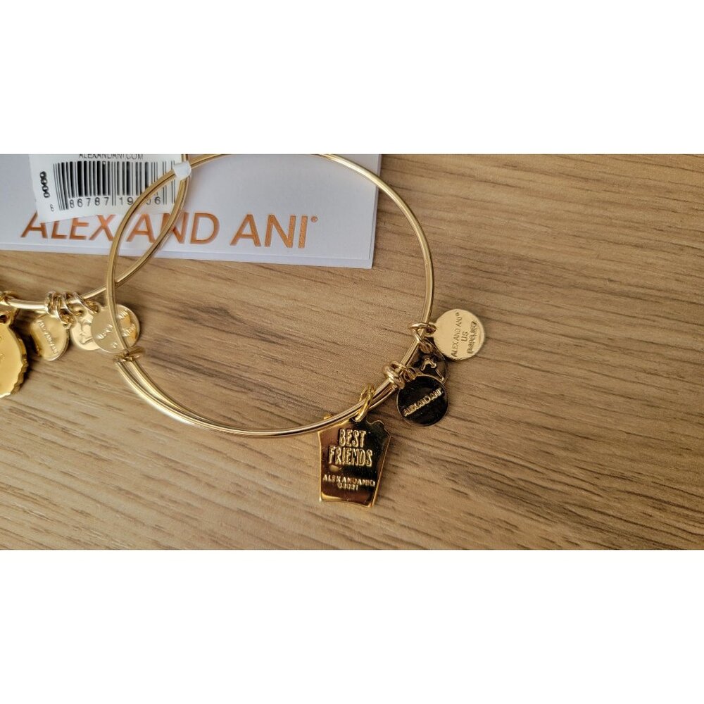 Alex and Ani Best Friends Burger & Fries Charm Bangle Set – NWT Boxed Gift - Picture 3 of 6